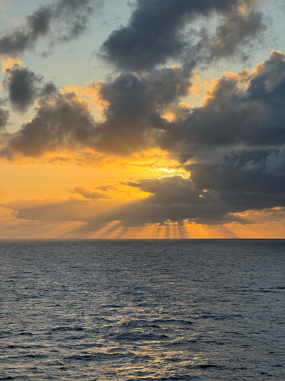 The Variable and The&nbsp;Catalyst