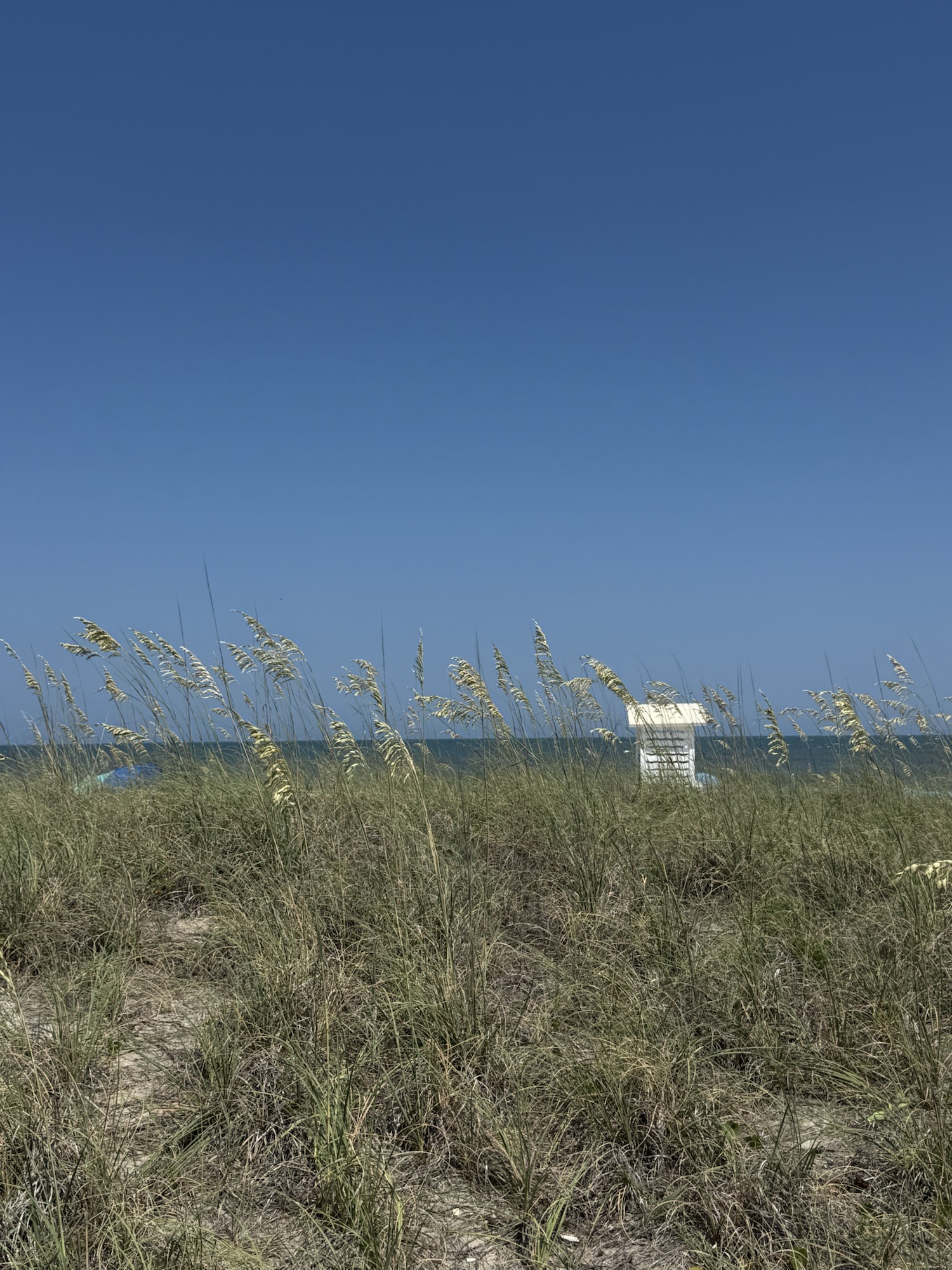 The Landmine & The Pier